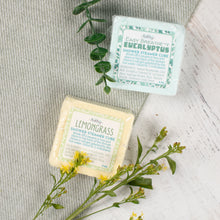 Load image into Gallery viewer, Two shower steamer cubes with labels on a textured surface with greenery.